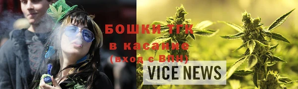 прущие грибы Кинешма