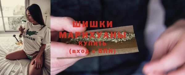 прущие грибы Кинешма