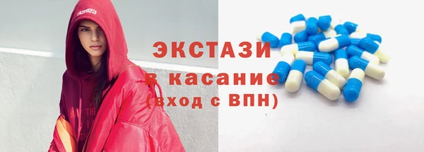 индика Каменка