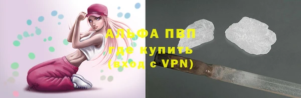 ешки Карпинск