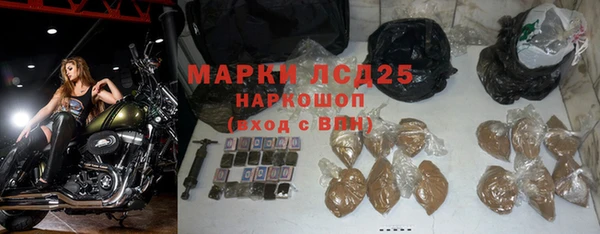 прущие грибы Кинешма