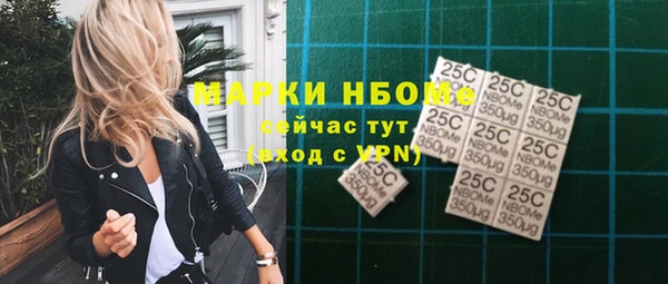 индика Каменка