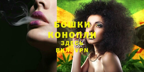 mdpv Каменск-Шахтинский