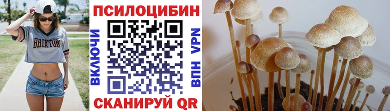 Псилоцибиновые грибы мицелий  закладка  Кирсанов 
